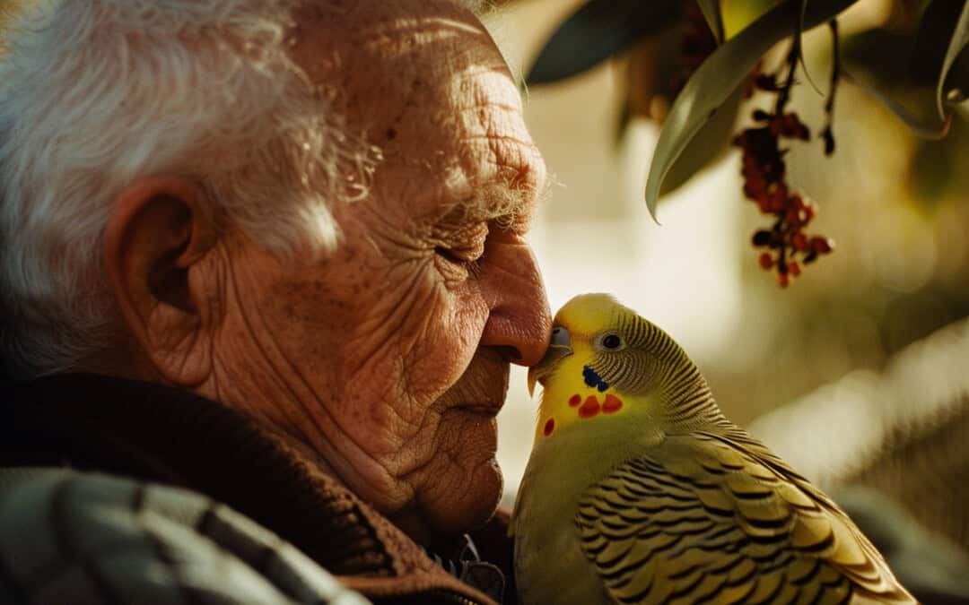 NGOLT 2025 Sessie 3.06